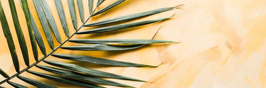 Matthew 21:1-11 – “The King is Here” –  Palm Sunday